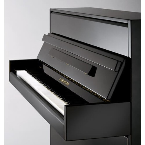 Акустическое пианино C. Bechstein A 114 Modern PE
