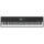 MIDI-клавиатура Studiologic SL88 Grand