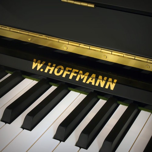 Акустическое пианино W.Hoffmann Vision V-131 PE