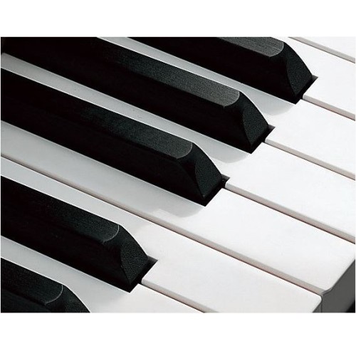 Акустическое пианино Yamaha YUS5 SW