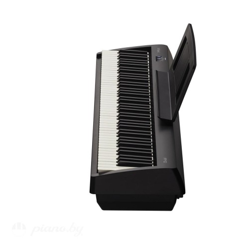 Цифровое пианино Roland FP-10-10