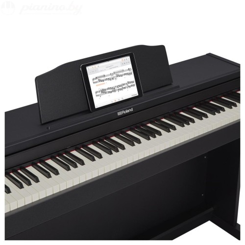 Цифровое пианино Roland RP-102-BK-5