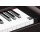 Цифровое пианино Korg LP-380RW