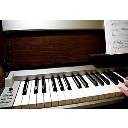 Акустическое пианино Yamaha YUS1 SAW