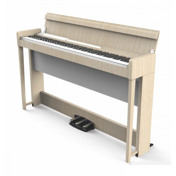 Korg c1