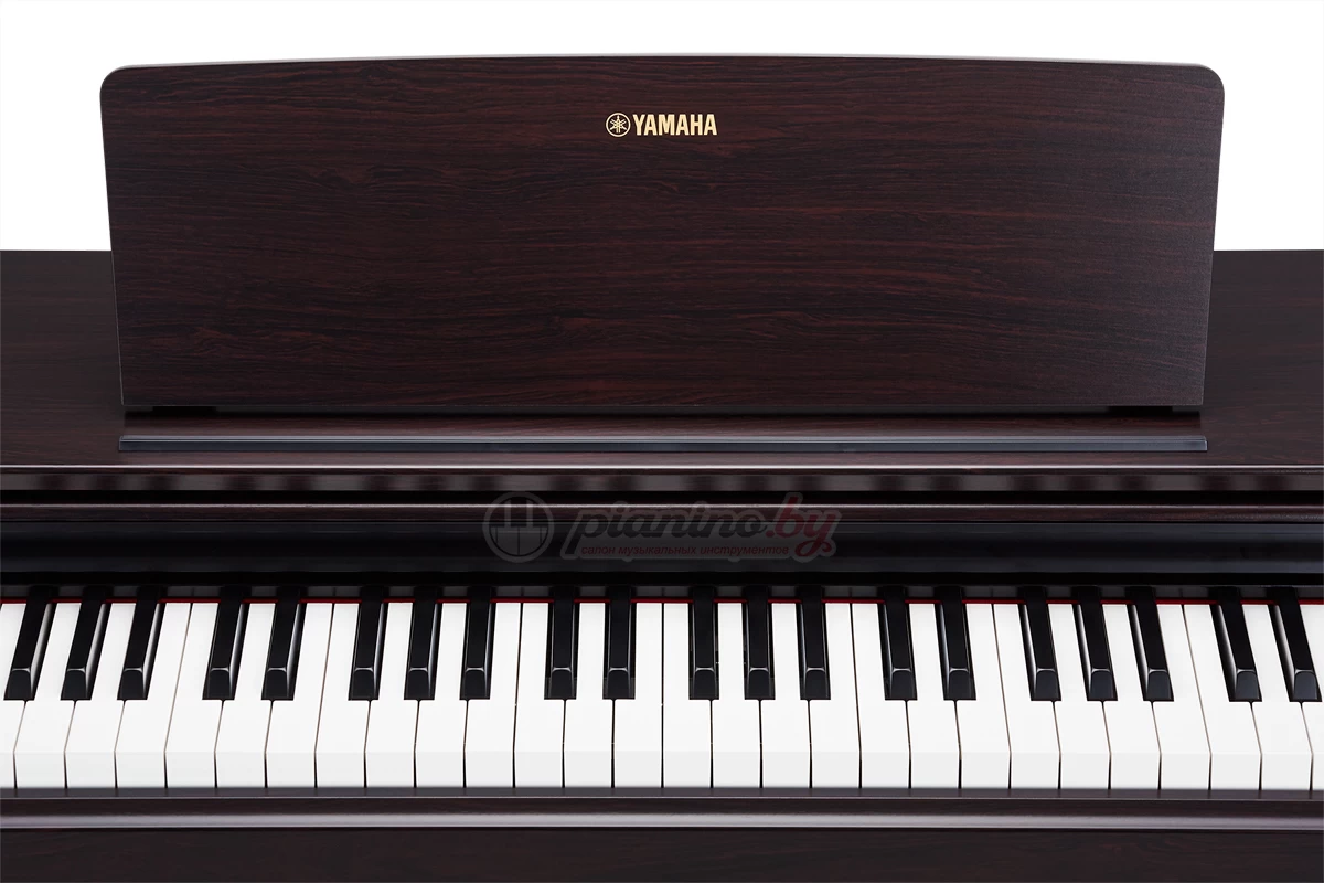 Цифровое пианино Yamaha Arius YDP-143 R купить в Минске