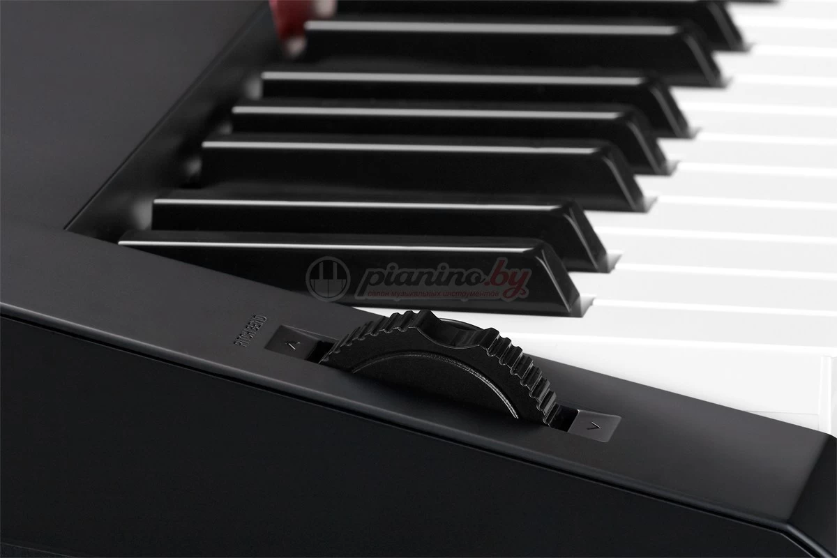 Синтезатор Casio (Касио) CTK-6250 купить в Минске, цена