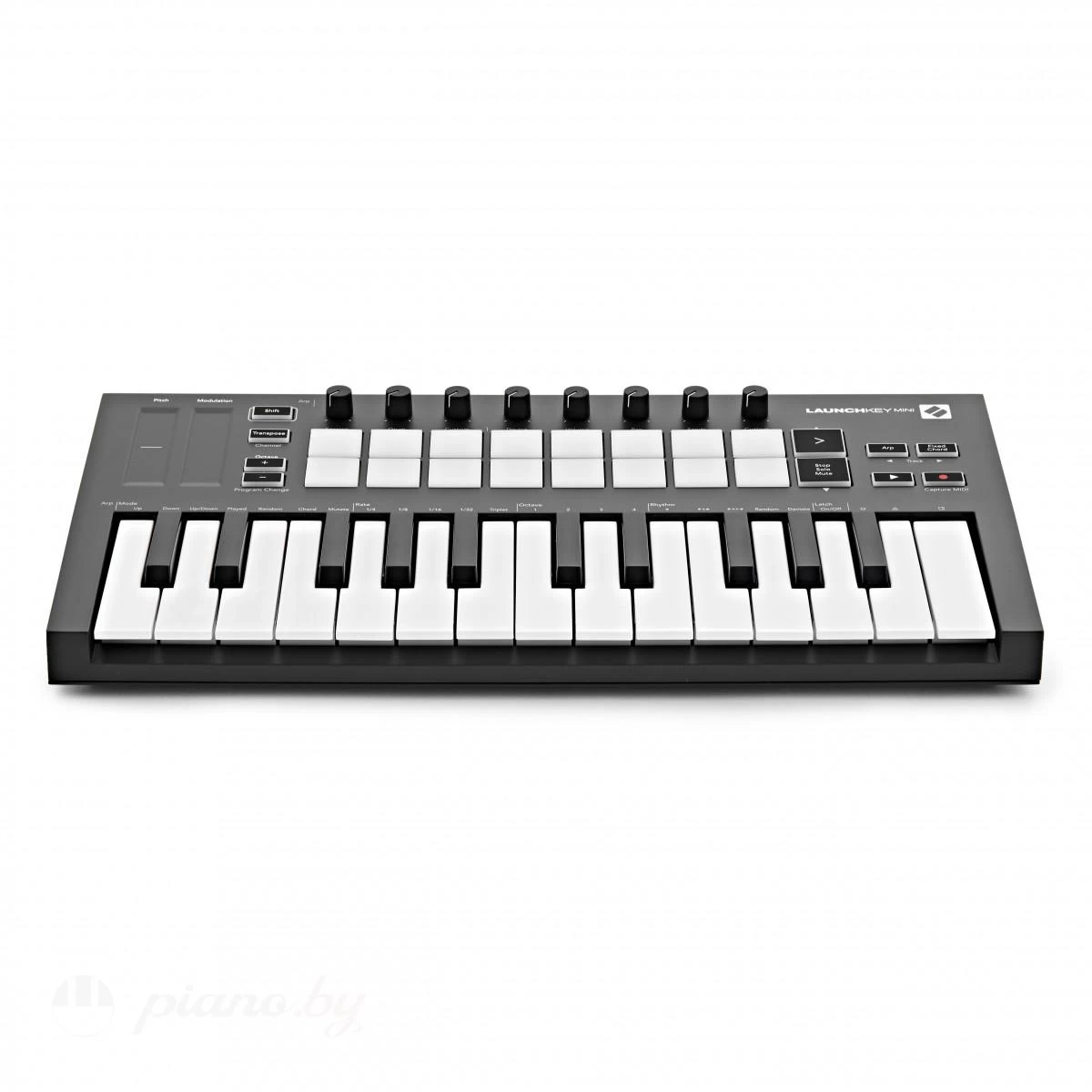MIDI-клавиатура Novation Launchkey Mini MK3 купить в Минске, Беларуси