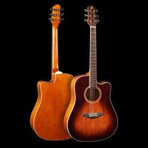 Акустическая гитара Pearl River L13E-DC+чехол
