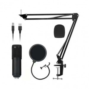 Микрофон PSSound STM-101USB (Комплект)