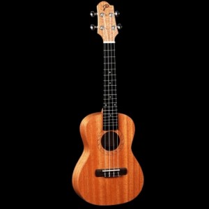 Укулеле Pearl River UL20E-C+чехол