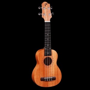 Укулеле Pearl River UL20E-S+чехол