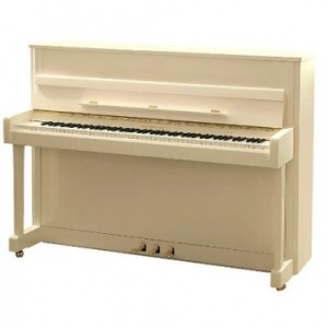 Акустическое пианино W.Hoffmann Vision V-112 PW