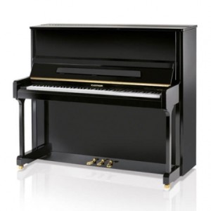 Акустическое пианино W.Hoffmann Vision V-126 PE