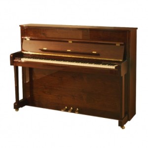 Акустическое пианино W.Hoffmann Vision V-112 POM