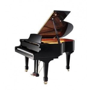 Акустический рояль Zimmermann SG 2 (Z 175) Polished Black