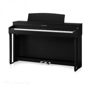 Цифровое пианино Kawai CN301B