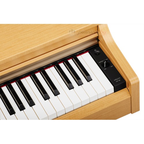 Цифровое пианино Yamaha Arius YDP-162C