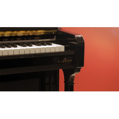 Акустическое пианино C. Bechstein A 124 Style (черное)