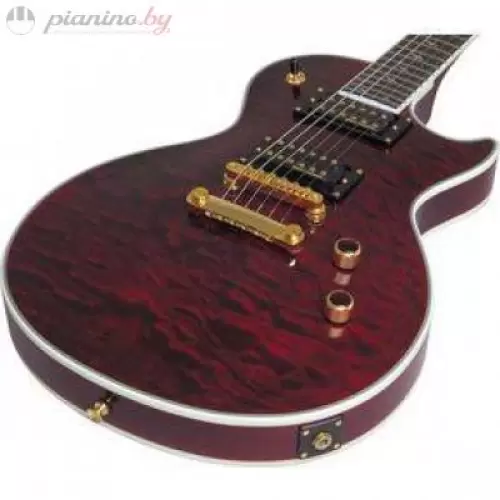 Электрогитара EPIPHONE PROPHECY LES PAUL CUSTOM PLUS GX BLACK