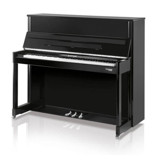 Акустическое пианино W Hoffmann Professional P-114 PE