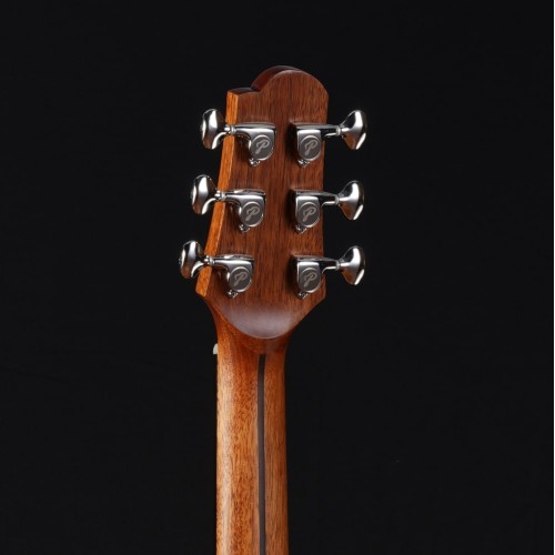 Акустическая гитара Pearl River S35-GC+чехол