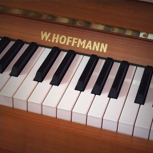Акустическое пианино W.Hoffmann Tradition T-122 PC