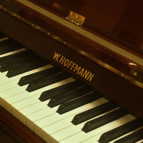 Акустическое пианино W.Hoffmann Tradition T-122 PM