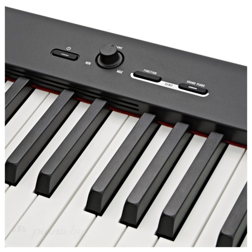 Цифровое пианино Casio CDP-S100-2