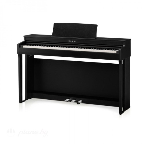 Цифровое пианино Kawai CN-201b-1