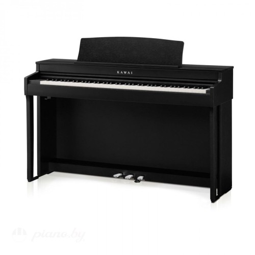 Цифровое пианино Kawai CN-301B-1