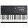 Цифровое пианино Kurzweil SP6-11