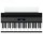 Цифровое пианино Roland FP-60X bk-2