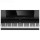 Цифровое пианино Roland HP704-PE SET-3