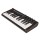 MIDI-клавиатура IK Multimedia iRig-KEYS 2 MINI