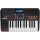 MIDI-клавиатура Akai PRO MPK225 USB-2