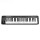 MIDI-клавиатура ALESIS Q49-2