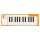 MIDI-клавиатура Arturia MicroLab Orange-1
