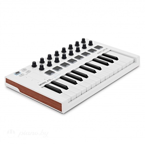MIDI-клавиатура Arturia MiniLab Mk II-4