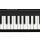 MIDI-клавиатура Korg microKEY2 37-3