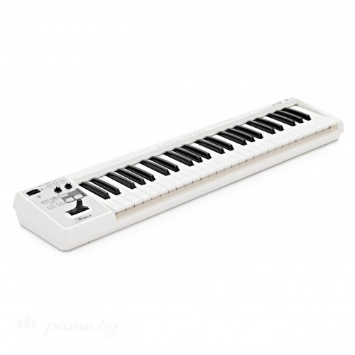 MIDI-клавиатура Roland A-49-WH-7