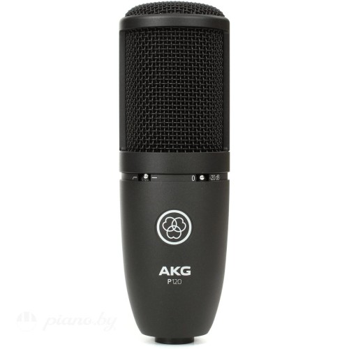 Микрофон AKG P120-1