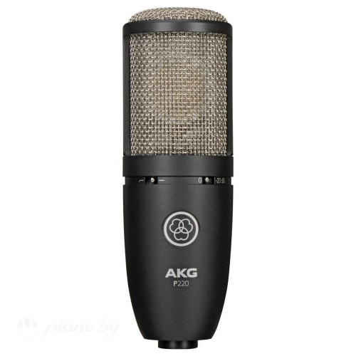 Микрофон AKG P220-1