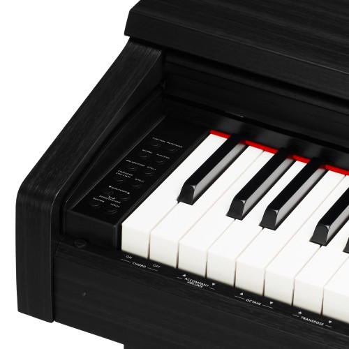 Цифровое пианино Pearl River V05 BK