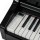 Цифровой рояль PIANOVA RG-110 Polish Black