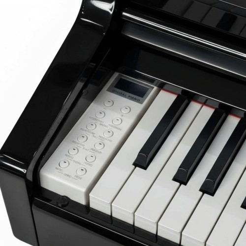 Цифровой рояль PIANOVA RG-110 Polish Black