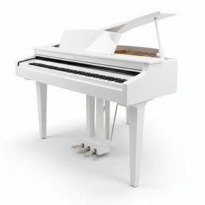 Цифровой рояль PIANOVA RG-110 Polish White