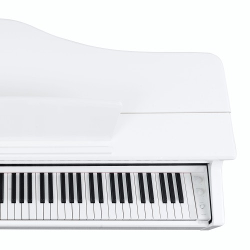 Цифровой рояль PIANOVA RG-110 Polish White
