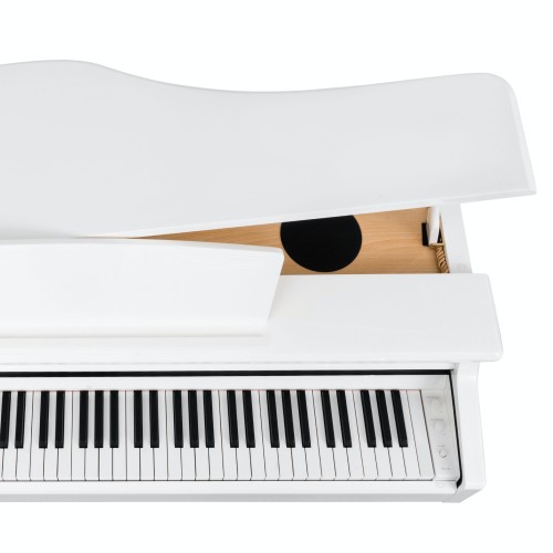 Цифровой рояль PIANOVA RG-110 Polish White