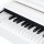 Цифровой рояль PIANOVA RG-110 Polish White